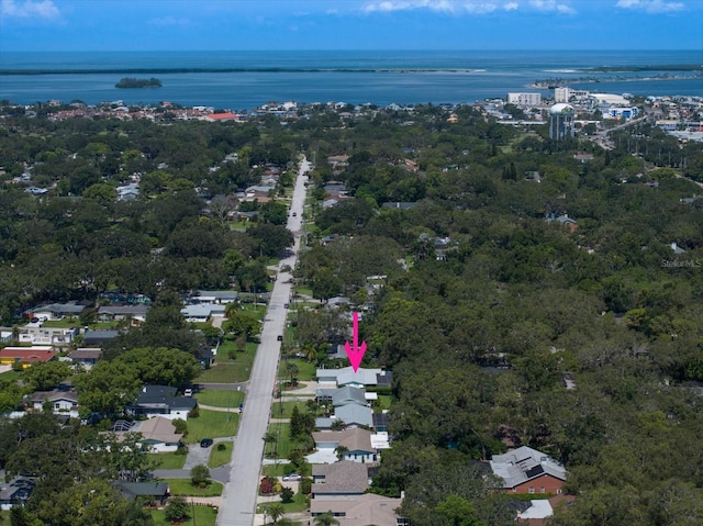 1468 Fairway Dr, Dunedin, FL 34698 - photo 60