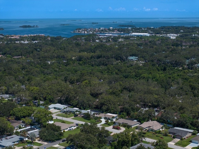 1468 Fairway Dr, Dunedin, FL 34698 - photo 72