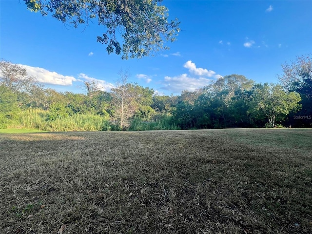 1359 Mission Cir Unit 48A, Clearwater, FL 33759 - view of yard