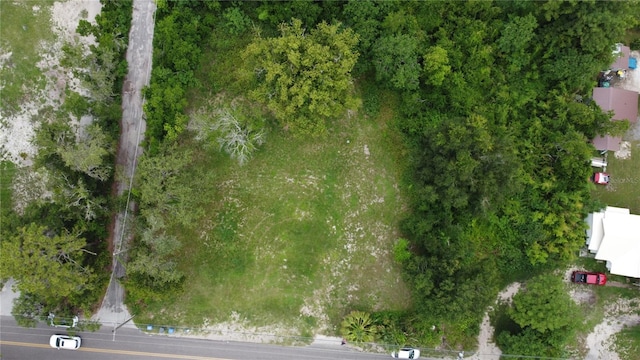 10616 Davis Rd, Tampa, FL 33637 - photo 2