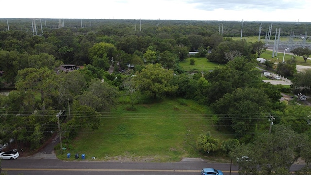 10616 Davis Rd, Tampa, FL 33637 - photo 4