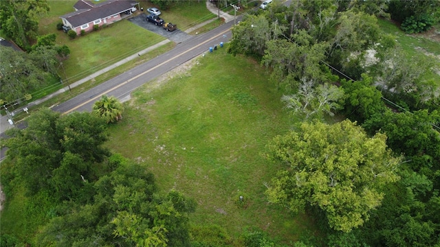 10616 Davis Rd, Tampa, FL 33637 - photo 5