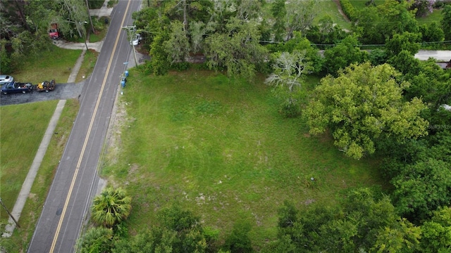10616 Davis Rd, Tampa, FL 33637 - photo 6