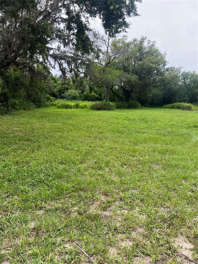 10616 Davis Rd, Tampa, FL 33637 - photo 8