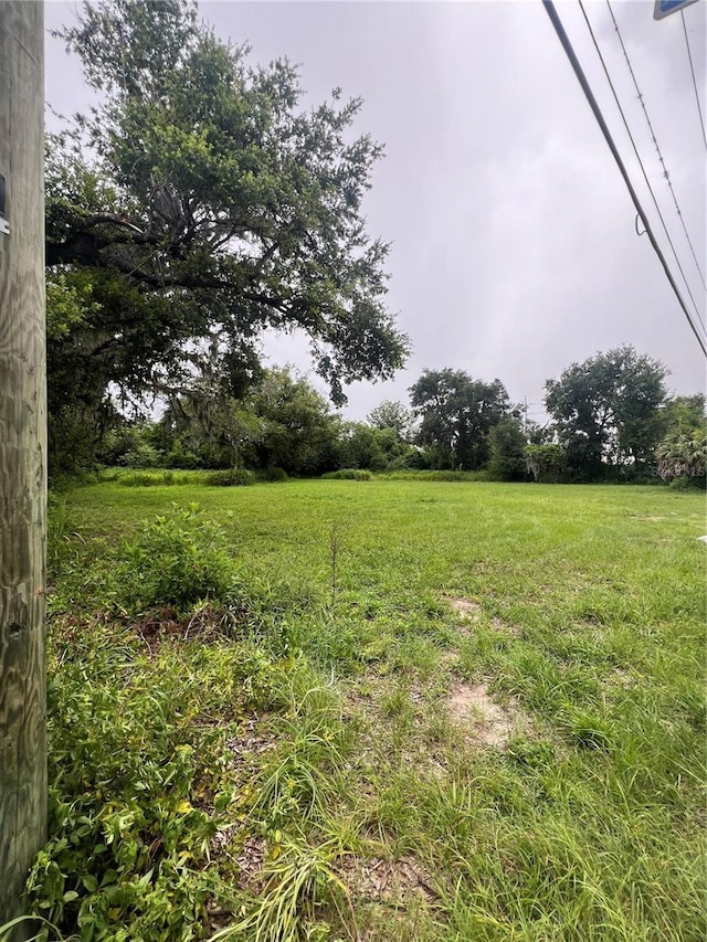 10616 Davis Rd, Tampa, FL 33637 - photo 9