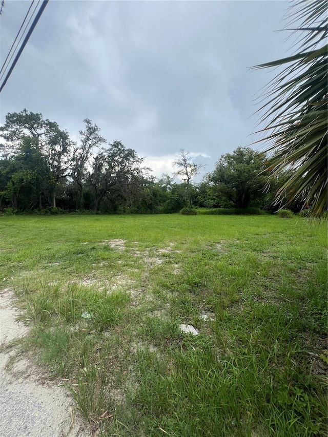 10616 Davis Rd, Tampa, FL 33637 - photo 10
