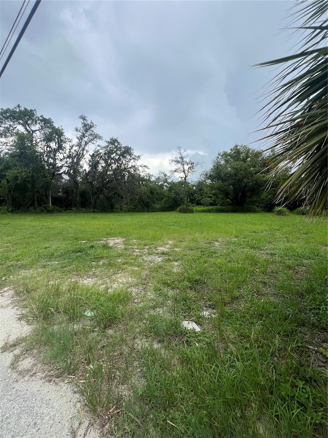 10616 Davis Rd, Tampa, FL 33637 - photo 12