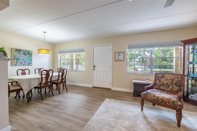 920 Virginia St Unit 207, Dunedin, FL 34698 - photo 4