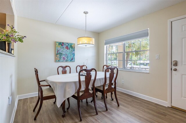 920 Virginia St Unit 207, Dunedin, FL 34698 - photo 8