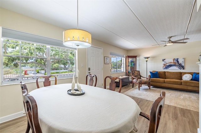920 Virginia St Unit 207, Dunedin, FL 34698 - photo 9