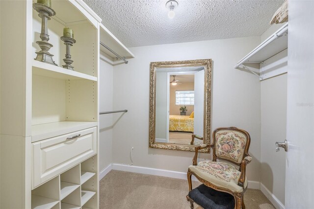 920 Virginia St Unit 207, Dunedin, FL 34698 - photo 20