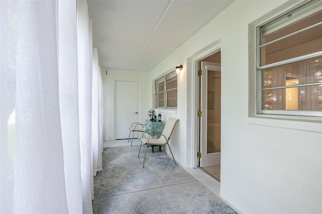 920 Virginia St Unit 207, Dunedin, FL 34698 - photo 22
