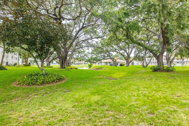 920 Virginia St Unit 207, Dunedin, FL 34698 - photo 28