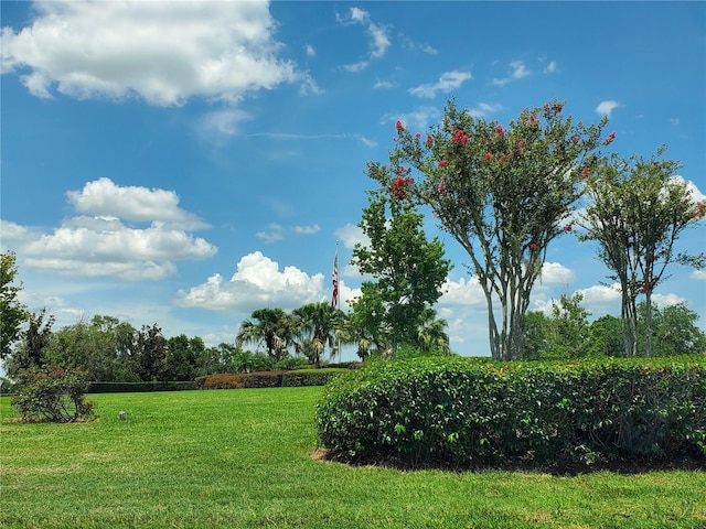 11052 Ancient Futures Dr, Tampa, FL 33647 - photo 6