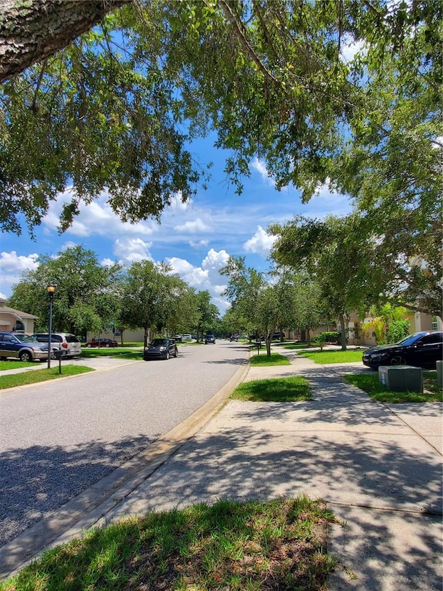 11052 Ancient Futures Dr, Tampa, FL 33647 - photo 7