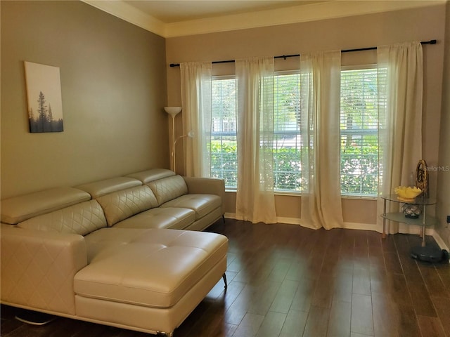 11052 Ancient Futures Dr, Tampa, FL 33647 - photo 13