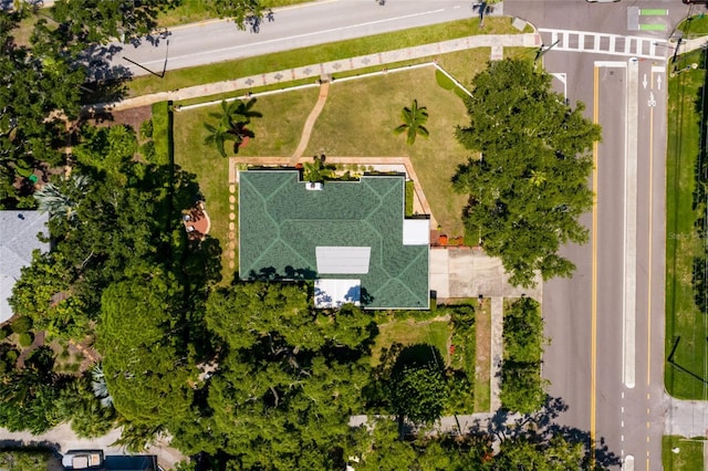 100 Park St S, Saint Petersburg, FL 33707 - photo 7