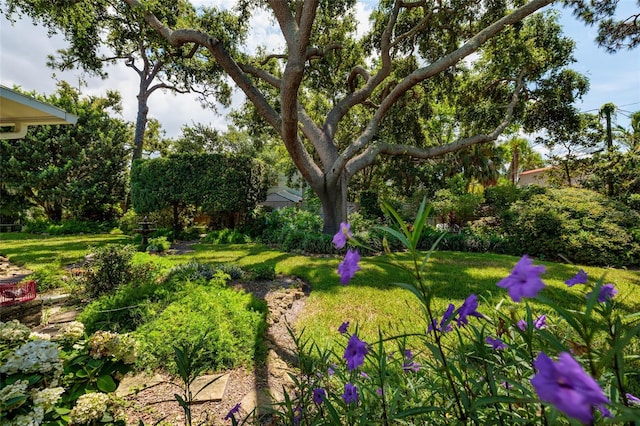 100 Park St S, Saint Petersburg, FL 33707 - photo 26