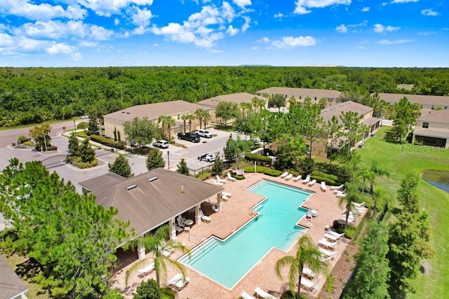 9826 Hound Chase Dr, Gibsonton, FL 33534 - bird's eye view of a pool and a heavily wooded area