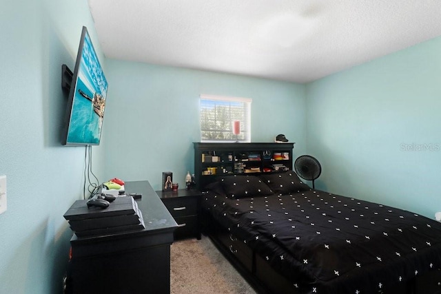 9826 Hound Chase Dr, Gibsonton, FL 33534 - bedroom featuring light colored carpet