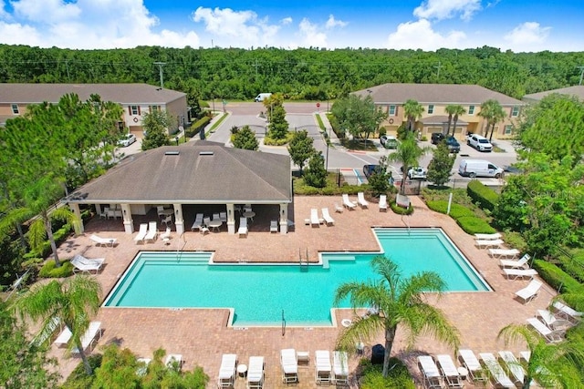 9826 Hound Chase Dr, Gibsonton, FL 33534 - community pool featuring a patio area and a wooded view