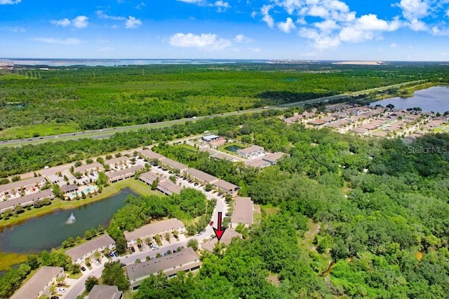 9826 Hound Chase Dr, Gibsonton, FL 33534 - aerial perspective of suburban area featuring a nearby body of water and a forest