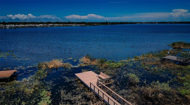 10866 Harborside Dr, Largo, FL 33773 - dock with a water view