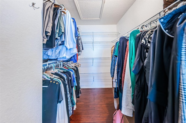 10866 Harborside Dr, Largo, FL 33773 - spacious closet with wood finished floors and attic access