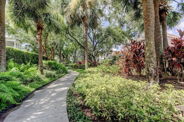 1179 Shipwatch Cir, Tampa, FL 33602 - photo 73
