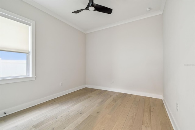 3113 W Harbor View Ave, Tampa, FL 33611 - photo 22