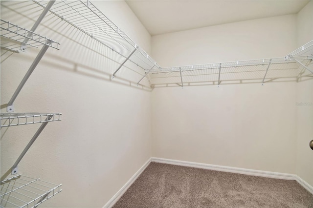 5415 Logan Cave Ave, Wimauma, FL 33598 - photo 10