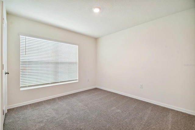 5415 Logan Cave Ave, Wimauma, FL 33598 - photo 22