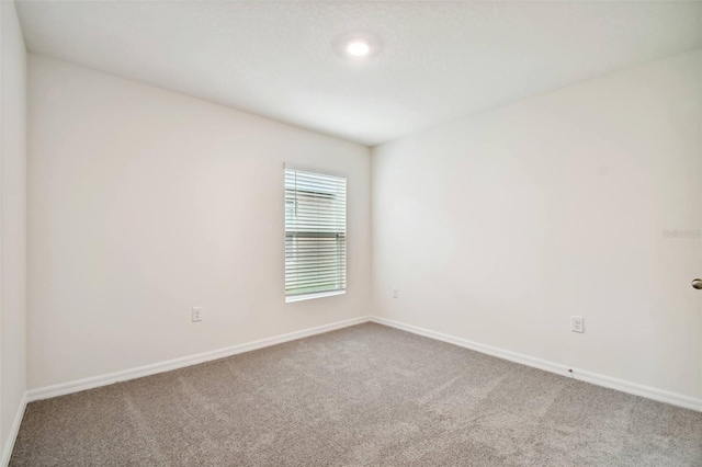 5415 Logan Cave Ave, Wimauma, FL 33598 - photo 27