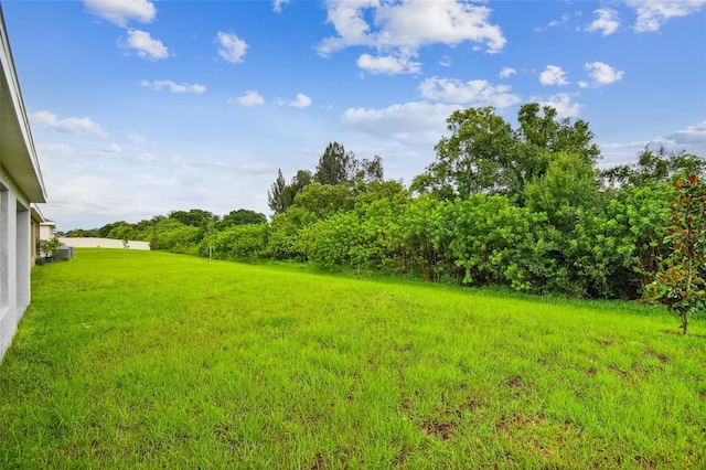 5415 Logan Cave Ave, Wimauma, FL 33598 - photo 31
