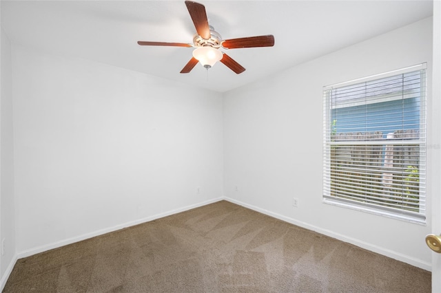 4515 Beaumaris Dr, Land O Lakes, FL 34638 - photo 23