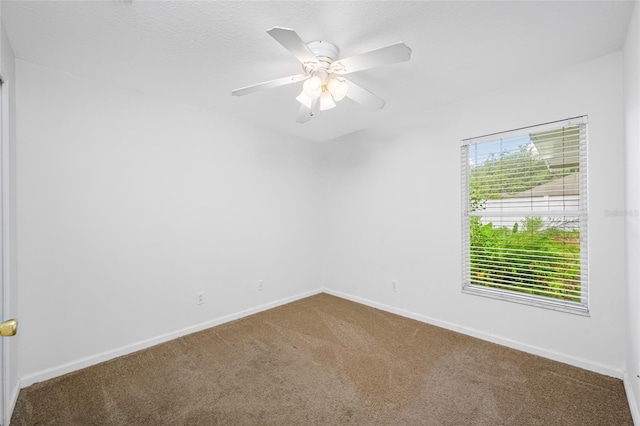 4515 Beaumaris Dr, Land O Lakes, FL 34638 - photo 26