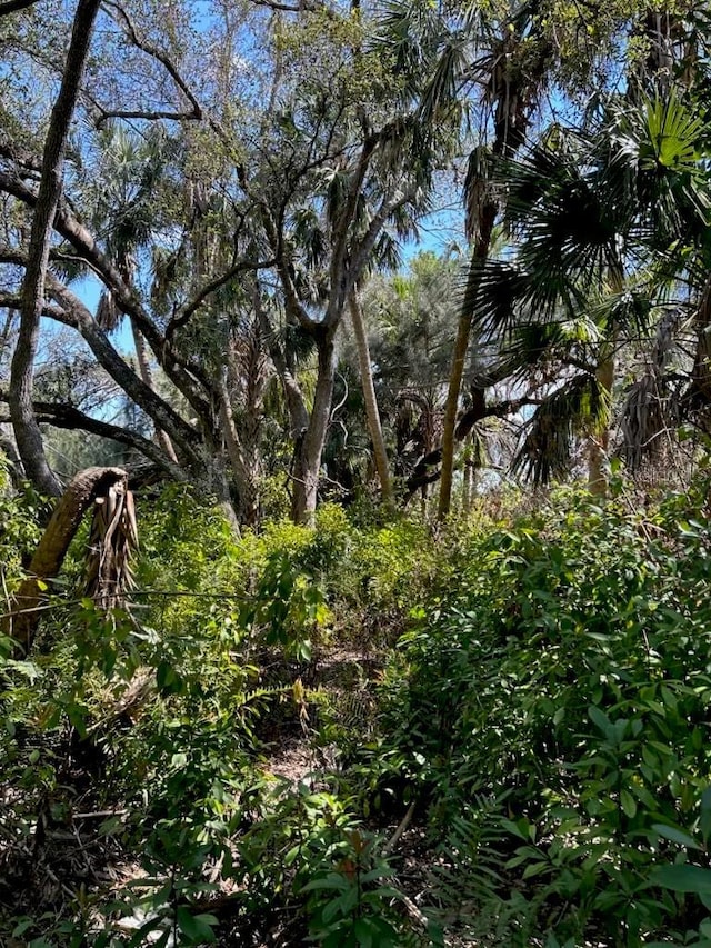 7022 Riverside Dr, Punta Gorda, FL 33982 - photo 4