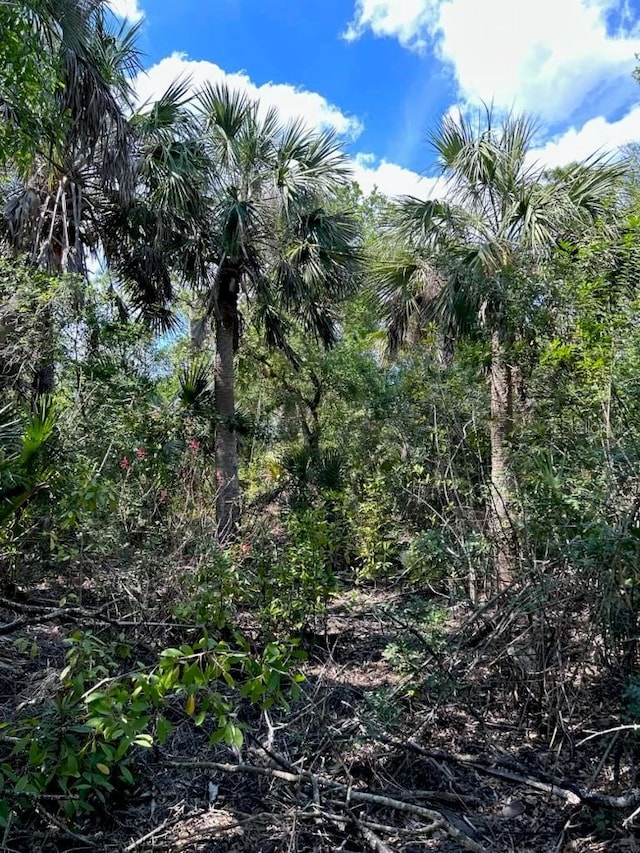 7022 Riverside Dr, Punta Gorda, FL 33982 - photo 5