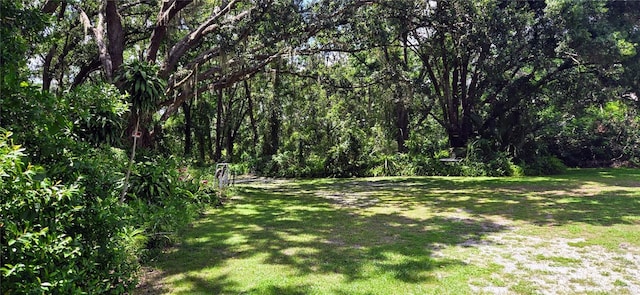 Turkey Tree Ln, Dover, FL 33527
