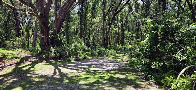Turkey Tree Ln, Dover, FL 33527