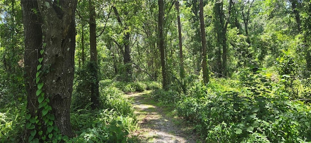 Turkey Tree Ln, Dover, FL 33527