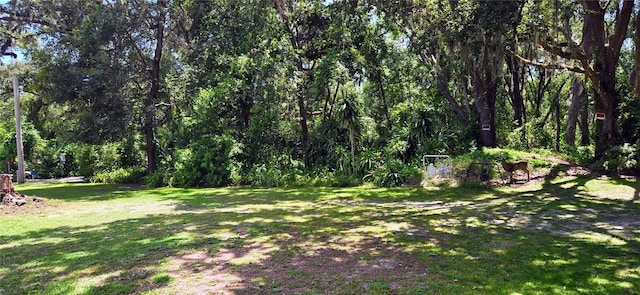 Turkey Tree Ln, Dover, FL 33527