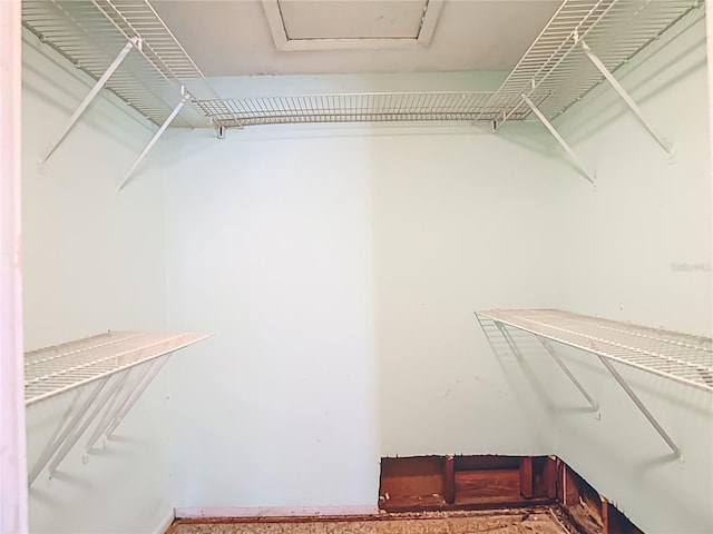 6250 7th Ave, New Port Richey, FL 34653 - view of spacious closet
