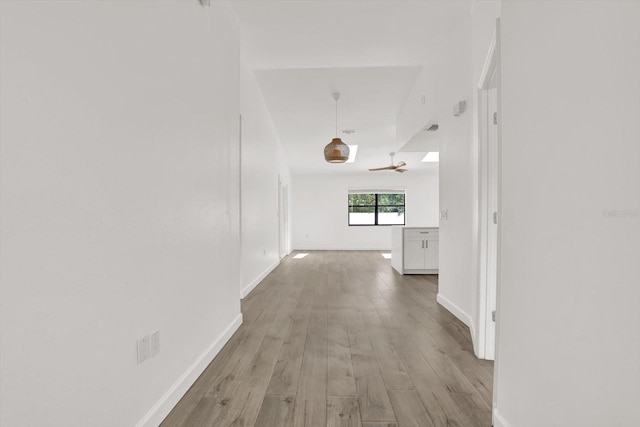 10319 Alberta Ct, New Port Richey, FL 34654 - corridor with wood finished floors and baseboards