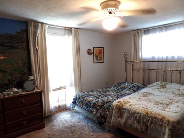 7534 Betula Dr, New Port Richey, FL 34653 - bedroom with carpet and a ceiling fan