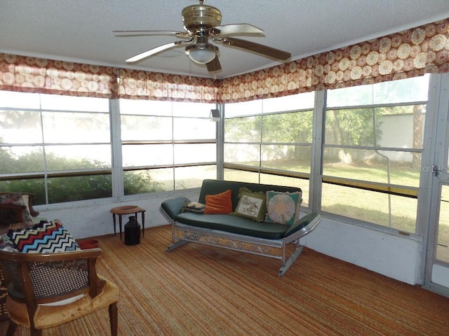 7534 Betula Dr, New Port Richey, FL 34653 - sunroom featuring a ceiling fan