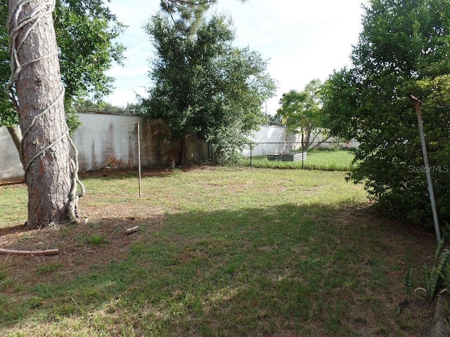 7534 Betula Dr, New Port Richey, FL 34653 - view of yard