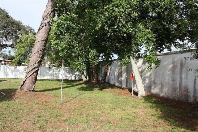 7534 Betula Dr, New Port Richey, FL 34653 - view of yard