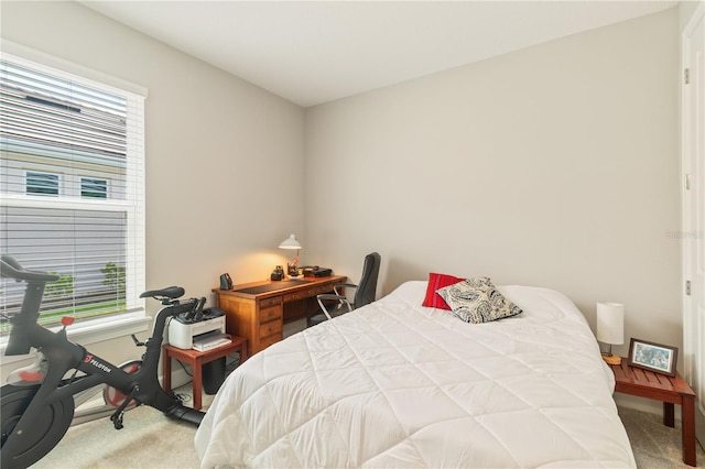 29544 Velletri Ln, Wesley Chapel, FL 33543 - photo 18