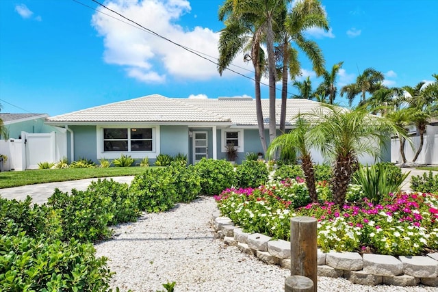 11890 Walker Ave, Seminole, FL 33772 - view of front of home with a tiled roof and stucco siding